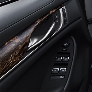 2017 Cadillac ATS Coupe Interior Trim Kit, Coupe - Okapi Stri 23480452
